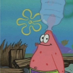 Meet your Posher, Vogel